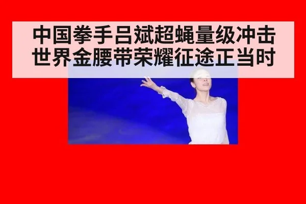中国拳手吕斌超蝇量级冲击世界金腰带荣耀征途正当时