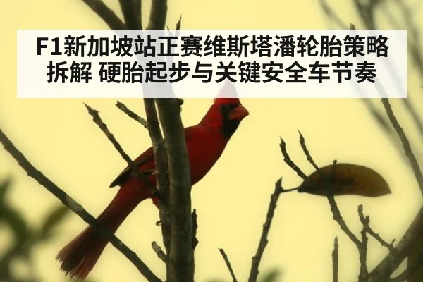 F1新加坡站正赛维斯塔潘轮胎策略拆解 硬胎起步与关键安全车节奏